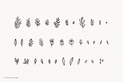100 Hand Drawn Botanical Graphics, a Texture Illustration by Minna May Design (Thumbnail 9 of 10)