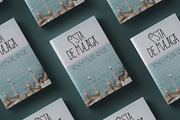 Reina Sofia - Vintage Display Serif, a Serif Font by SilverStag Type Foundry (Thumbnail 27 of 30)