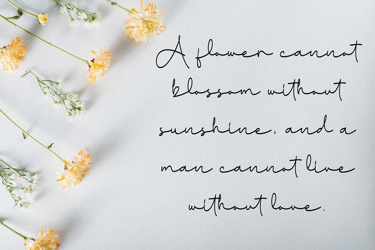 Inkgraphy Handwritten Script Font, a Script Font by MJtypefoundry (Photo 5 of 10)