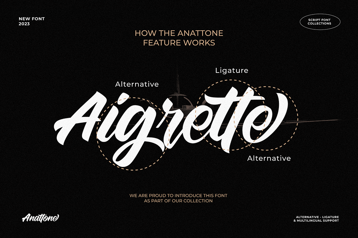 Anattone - Modern Script Font, a Script Font by Lettermine (Photo 6 of 9)