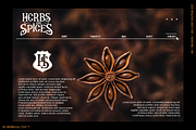 Mollucas Clove, a Serif Font by inumocca_type (Thumbnail 3 of 8)