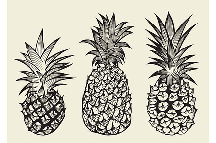 set illustrations of ripe pineapples.