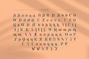 Bahena – Elegant Display Serif Font, a Serif Font by BrandSemut (Thumbnail 10 of 10)