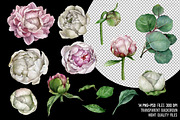 Watercolor pink peonies clipart, an Illustration by yana.fefelova (Thumbnail 3 of 5)