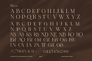 Monse Ligature Serif Font, a Serif Font by Graphicxell (Thumbnail 8 of 8)