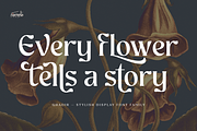 Ghadir, Botanical Display Font, a Sans Serif Font by Namela Studio (Thumbnail 8 of 10)