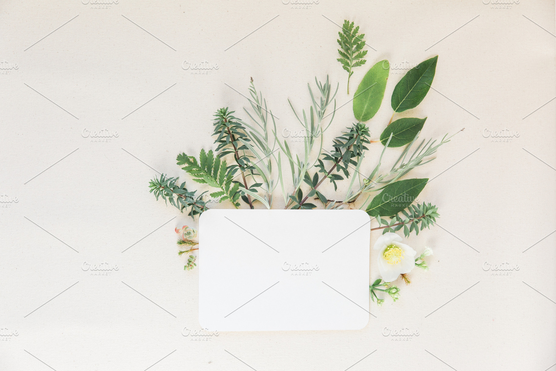 Stationary Stock Photo, a Photo by Fine Stock Art