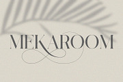 Lostgun Plus | Stylish Typeface, a Serif Font by Qaratype (Thumbnail 10 of 20)