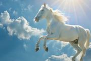 116 Flying animals, an Animal Photo by Handmadefont (Thumbnail 25 of 119)
