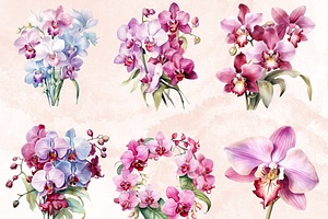 Watercolor Pink Orchid Flowers Set