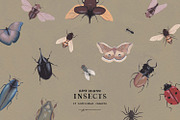 Hand Painted Insects Clipart, an Illustration by gamm (Thumbnail 2 of 9)