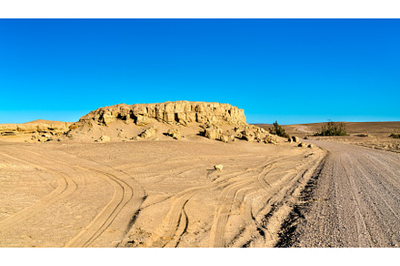 Whale fossils in the Ocucaje desert, a Nature Photo by Leonid Andronov