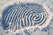Fingerprints. 75 images, an Object Illustration by Handmadefont (Thumbnail 7 of 15)