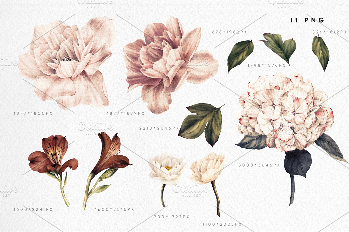 Watercolor flowers, vintage style, a Decorative Illustration by ollalya (Photo 2 of 4)
