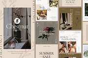 Chestnut social media template, a Social Media Template by Chanut is industries (Thumbnail 1 of 8)