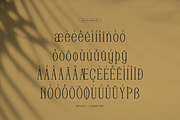 Reftoliya | Modern Serif Font, a Serif Font by gracetype_studio (Thumbnail 12 of 12)