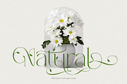 Mallong Typeface, a Serif Font by alit design (Thumbnail 4 of 17)