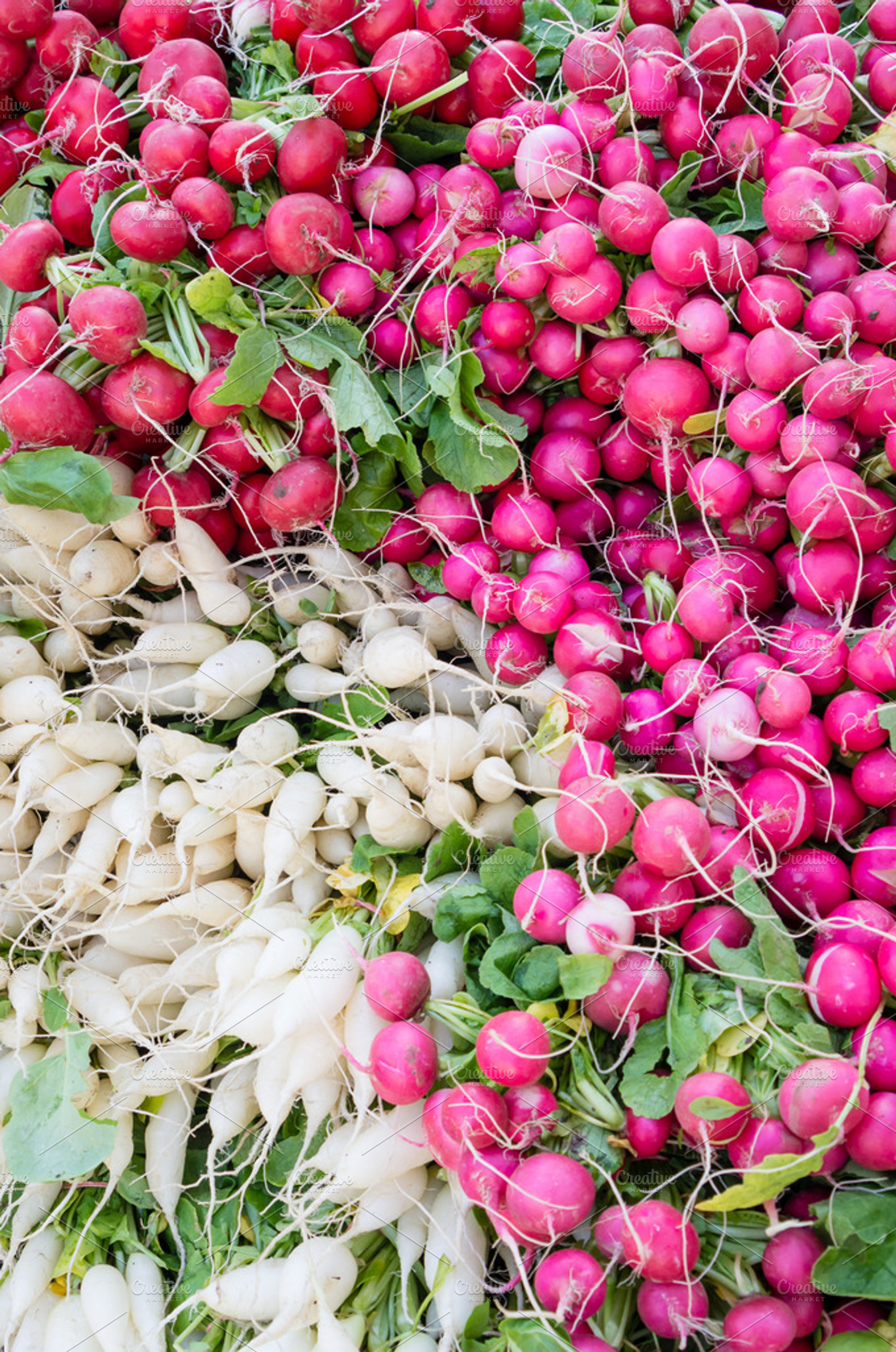 Radishes On Display At The Market Featuring Food Produce And Root