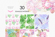 Tropic protea, watercolor clip art, a Seasonal Illustration by katmonne (Thumbnail 8 of 9)
