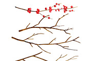 Autumn Herbarium Watercolor Clipart, a Background Graphic by Watercolor Clipart (Thumbnail 3 of 4)