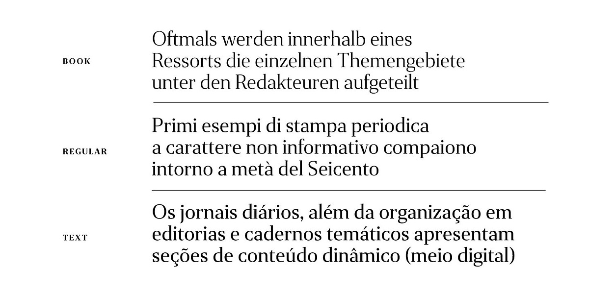 Gazeta, a Serif Font by Vanarchiv (Photo 4 of 7)