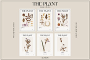 The PLANT. Autumn collection, a Pattern Graphic by NKTN (Thumbnail 12 of 18)