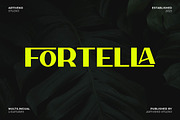 Fortella Creative Sans, a Sans Serif Font by Artiveko (Thumbnail 1 of 8)