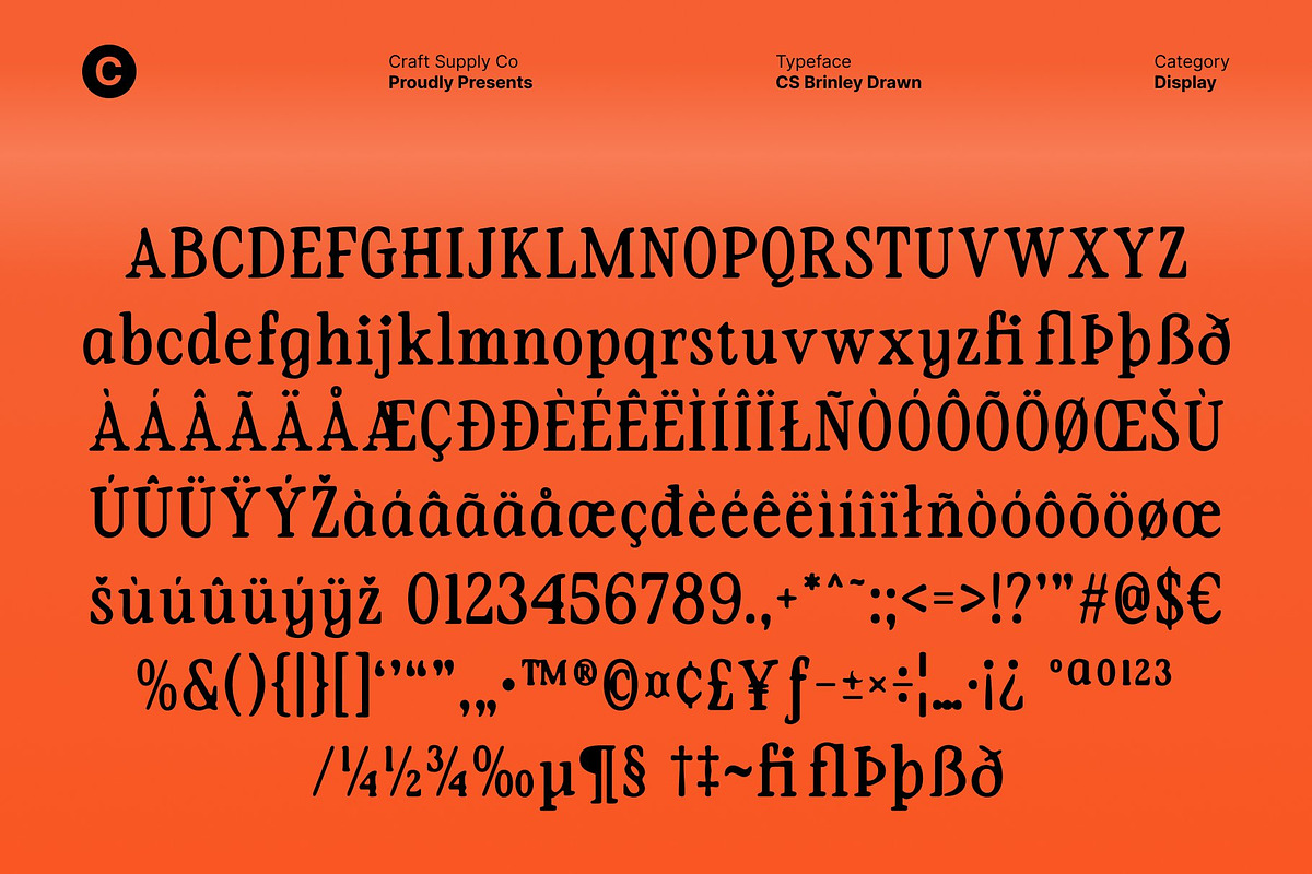 CS Brinley Drawn, a Serif Font by Craft Supply Co. (Photo 8 of 8)