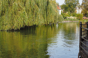 River Cam in Cambridge, a Photo by WorldOfPhotos