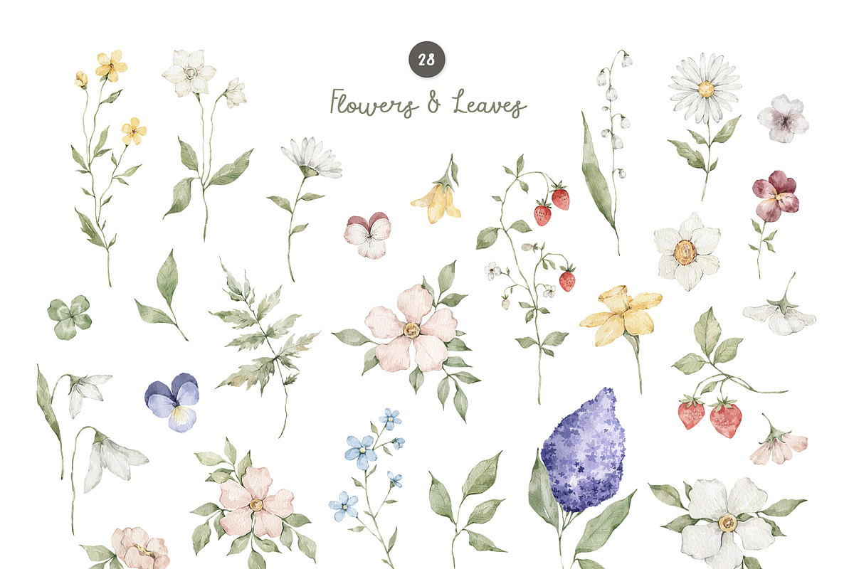 Spring Garden. Watercolor clipart, a Decorative Illustration by Kreker Kate (Photo 11 of 12)