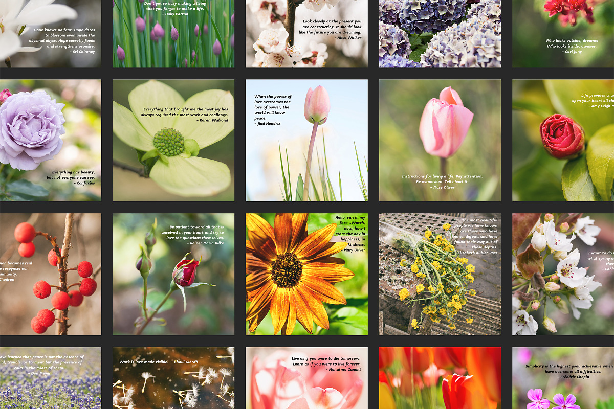 Flower Therapy Instagram Posts, a Social Media Template by minersgold (Photo 2 of 7)