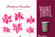 40% OFF. Christmas poinsettia SET, a Decorative Illustration by oKOLOstyle (Thumbnail 3 of 7)