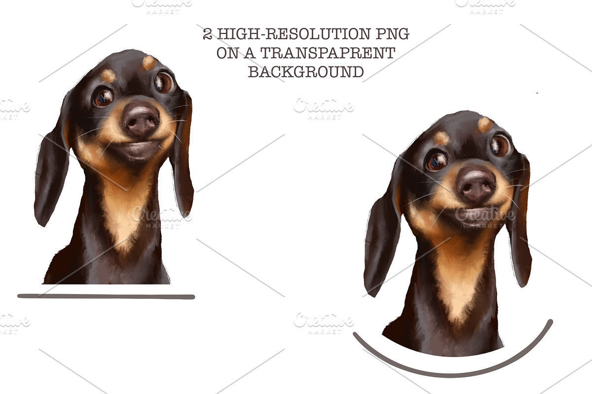 Dog dachshund, an Animal Illustration by sheincar (Photo 2 of 3)