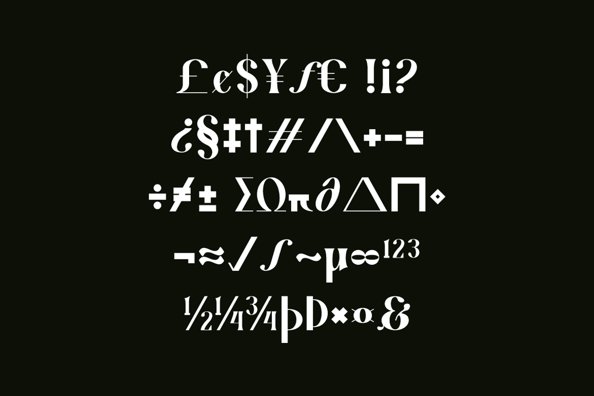 Arkity Qillgar Feminine Elegant Font, a Serif Font by Iqsiart Studio (Photo 8 of 13)