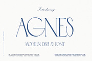 Modern Trend Font Bundle, a Serif Font by Laras Wonderland (Thumbnail 21 of 25)