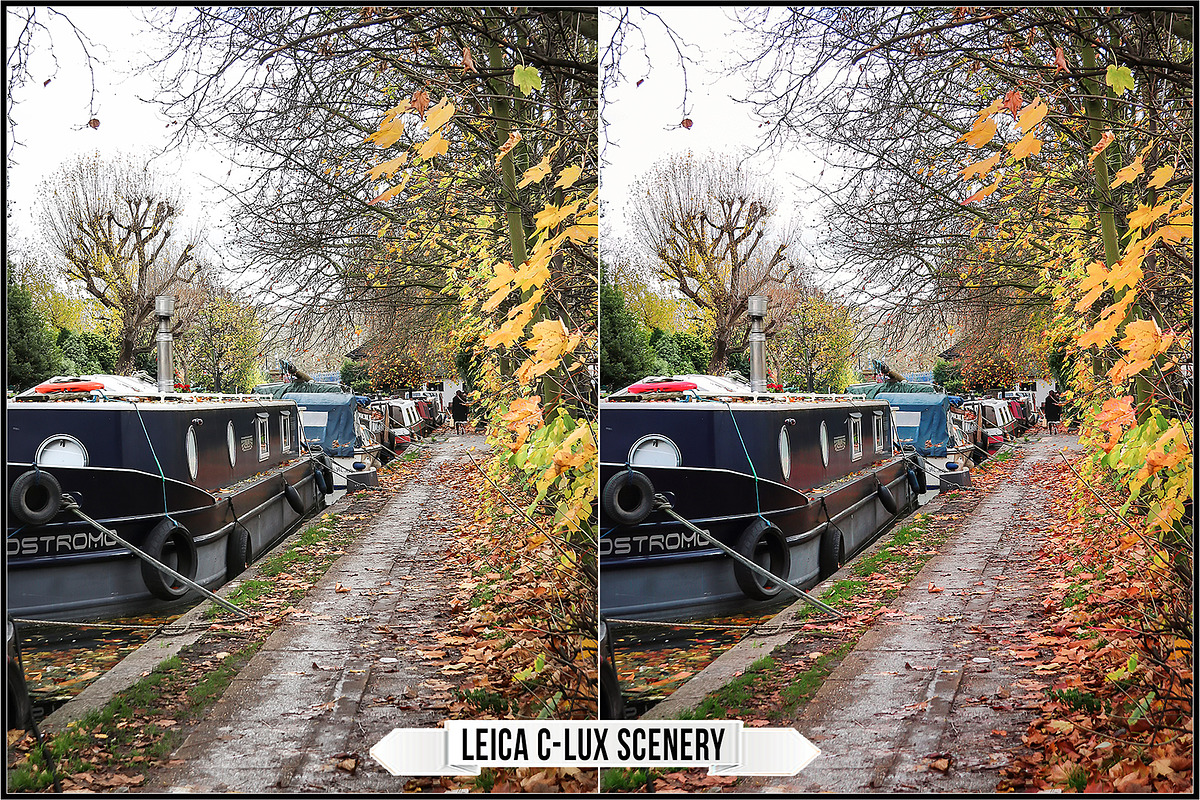 Leica Film Styles, a Plug-in Add-On by Raztrend (Photo 11 of 30)
