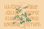 Awsirnam - Aesthetic Serif Font, a Serif Font by Enxyclo Studio (Thumbnail 29 of 29)