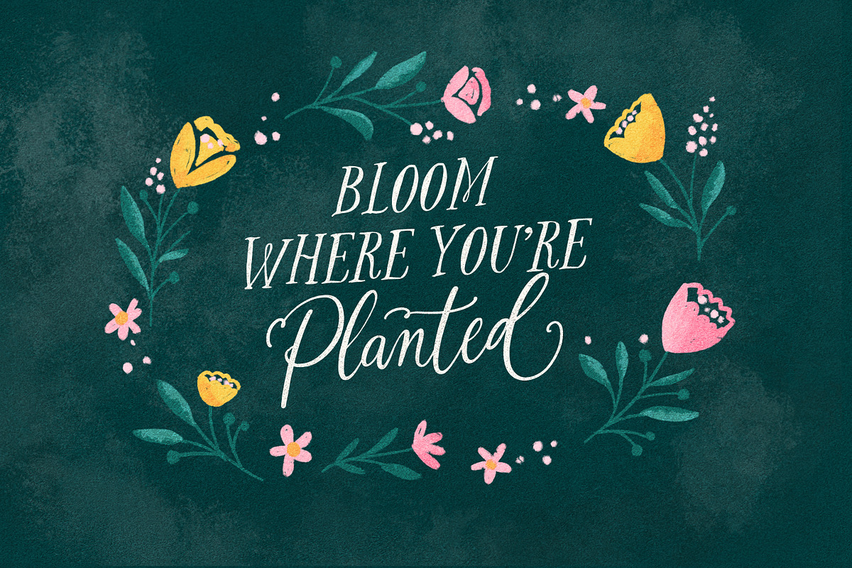 The Blooming Lovely Font Duo, a Script Font by Nicky Laatz (Photo 21 of 28)