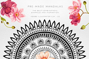 Mandala Illustrator Brushes, a Brush Add-On by Vector Vendor (Thumbnail 3 of 5)