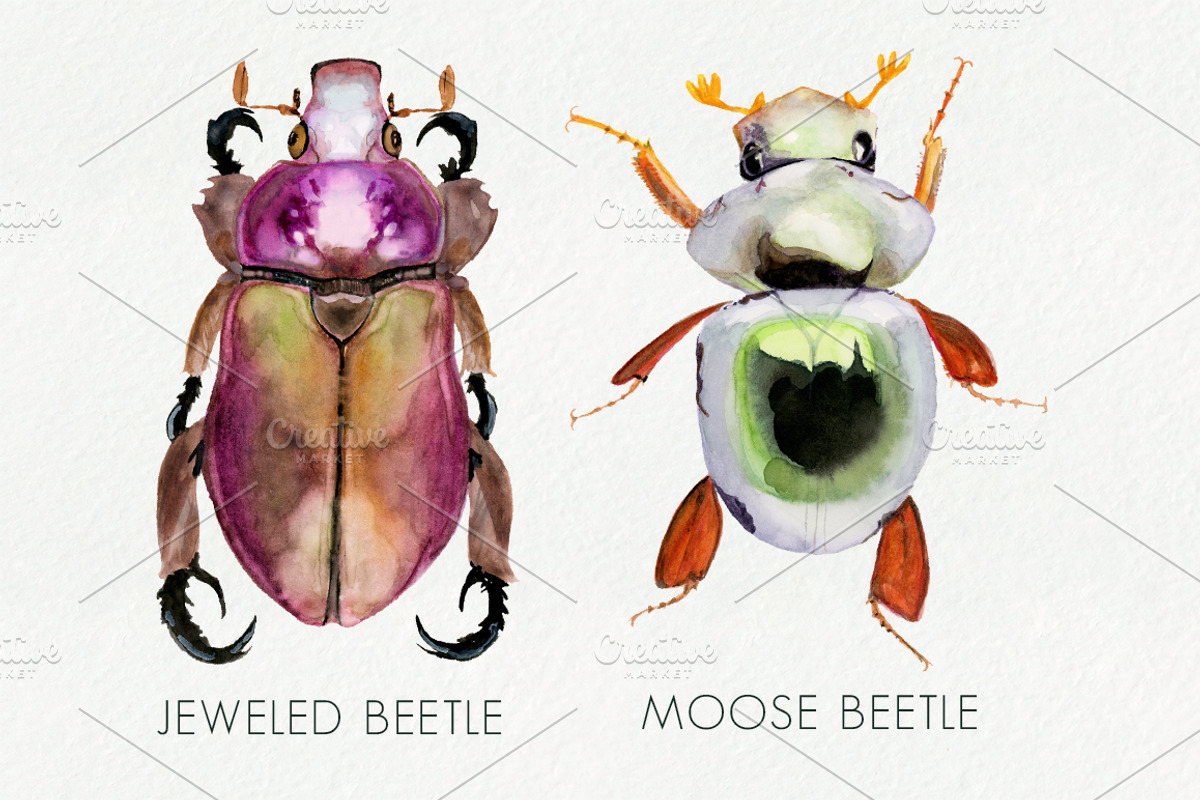 Hand-Painted Beetles, a Graphic by Brianna Perdue (Photo 2 of 2)