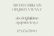 Egoist - Clean Serif, a Serif Font by Mikhail Kitsune (Thumbnail 8 of 9)