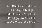 Rogles - Luxury Display Serif, a Serif Font by GridlineType (Thumbnail 10 of 10)