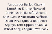 Sangect Display, a Serif Font by Pista Mova (Thumbnail 8 of 12)