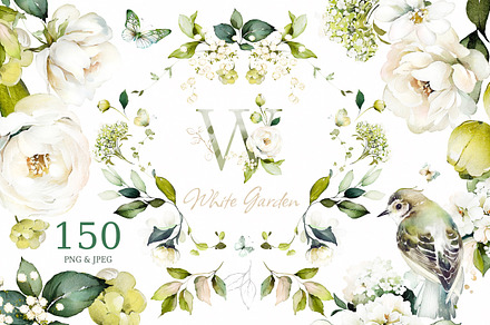 White Roses Wedding watercolor, a Decorative Illustration by Lisima