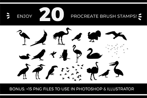 Procreate Brush Stamps - Birds