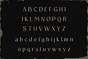 Mossion | Luxury and Elegant Font, a Sans Serif Font by Auratype (Thumbnail 5 of 8)