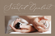 Hearthad Majestic Elegant Font, a Script Font by Storytype Studio (Thumbnail 10 of 15)