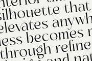 Sainer Bagora Modern Serif, a Serif Font by timelesstype.co (Thumbnail 9 of 20)