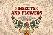 Insects and Flowers, an Animal Illustration by Ink Stories (Thumbnail 1 of 15)