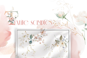 watercolor flowers botanical bundle, a Decorative Illustration by Edith’s World (Thumbnail 13 of 14)
